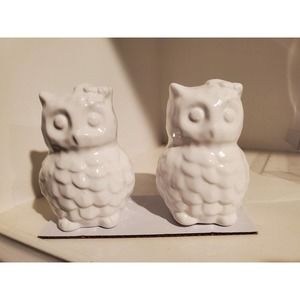 3.5" Tall Ceramic Owl Salt & Pepper Shakers